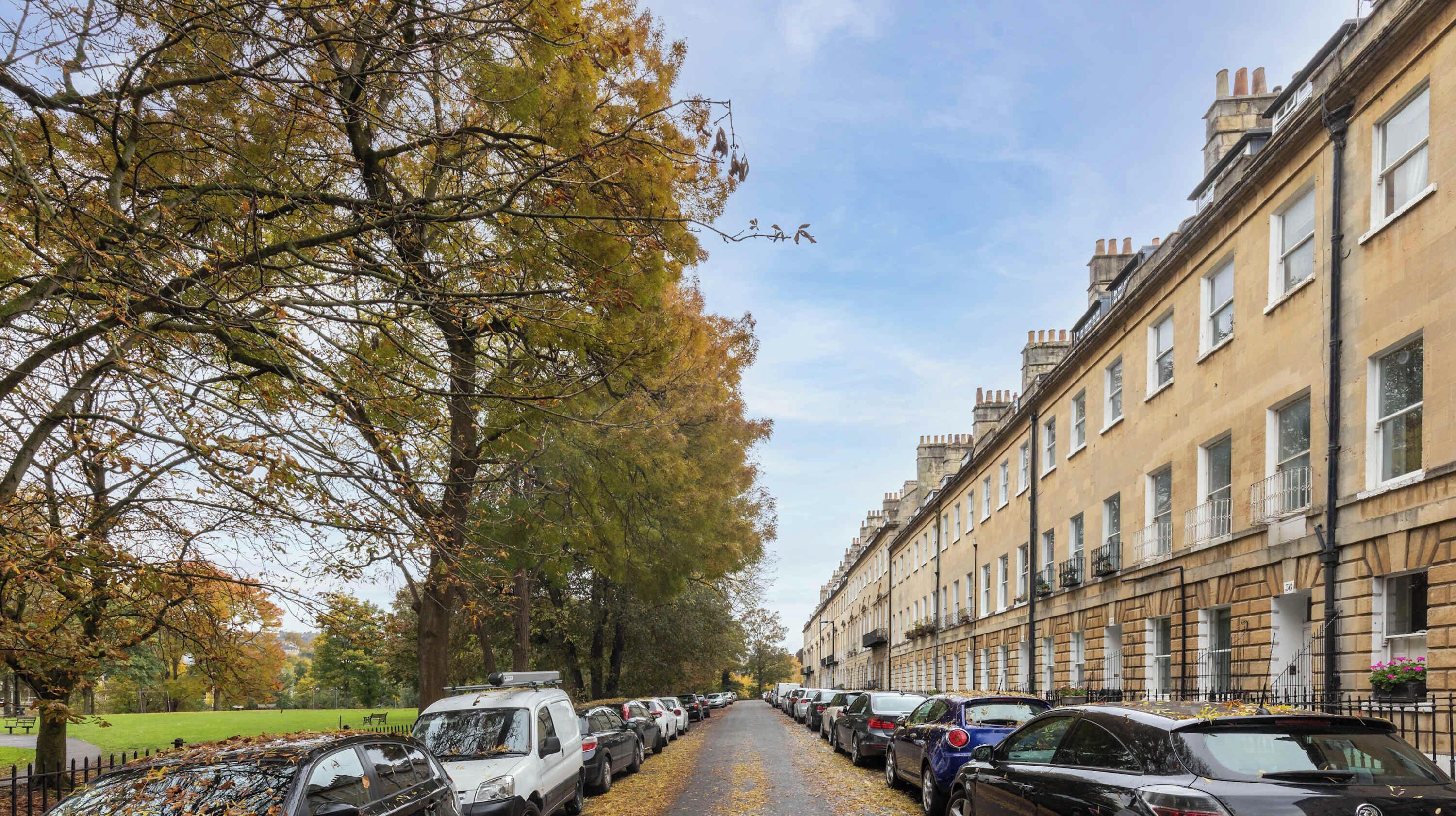 A street lined with parked cars and trees with autumn leaves.