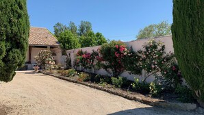 A gravel driveway leading to a house with a tiled roof, surrounded by lush greenery and flowering plants. - Typical Provencal farmhouse (Villelaure)