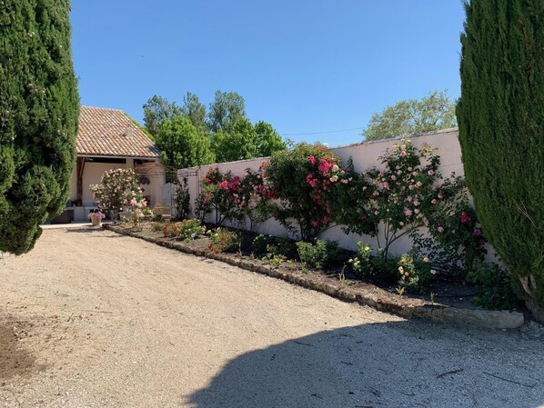 A gravel driveway leading to a house with a tiled roof, surrounded by lush greenery and flowering plants. - Typical Provençal farmhouse (Villelaure)