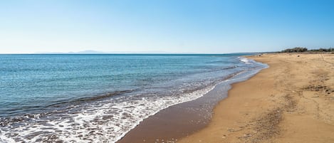 Plage à proximité, chaises longues