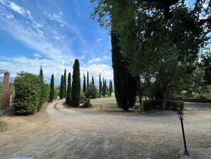 Área da propriedade