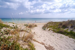 Un sentier de sable qui longe la plage et m ène à l’océan, avec une végétation clairsemée.