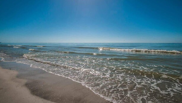 A beach with clear water and a bright sun. - Seacove in Indian Shores, Beachfront with a pool! (Indian Shores)