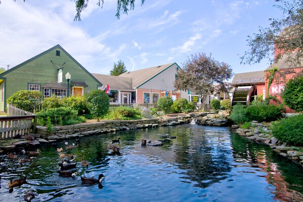 A pond with ducks, surrounded by buildings with a stone wall and a wooden bridge.