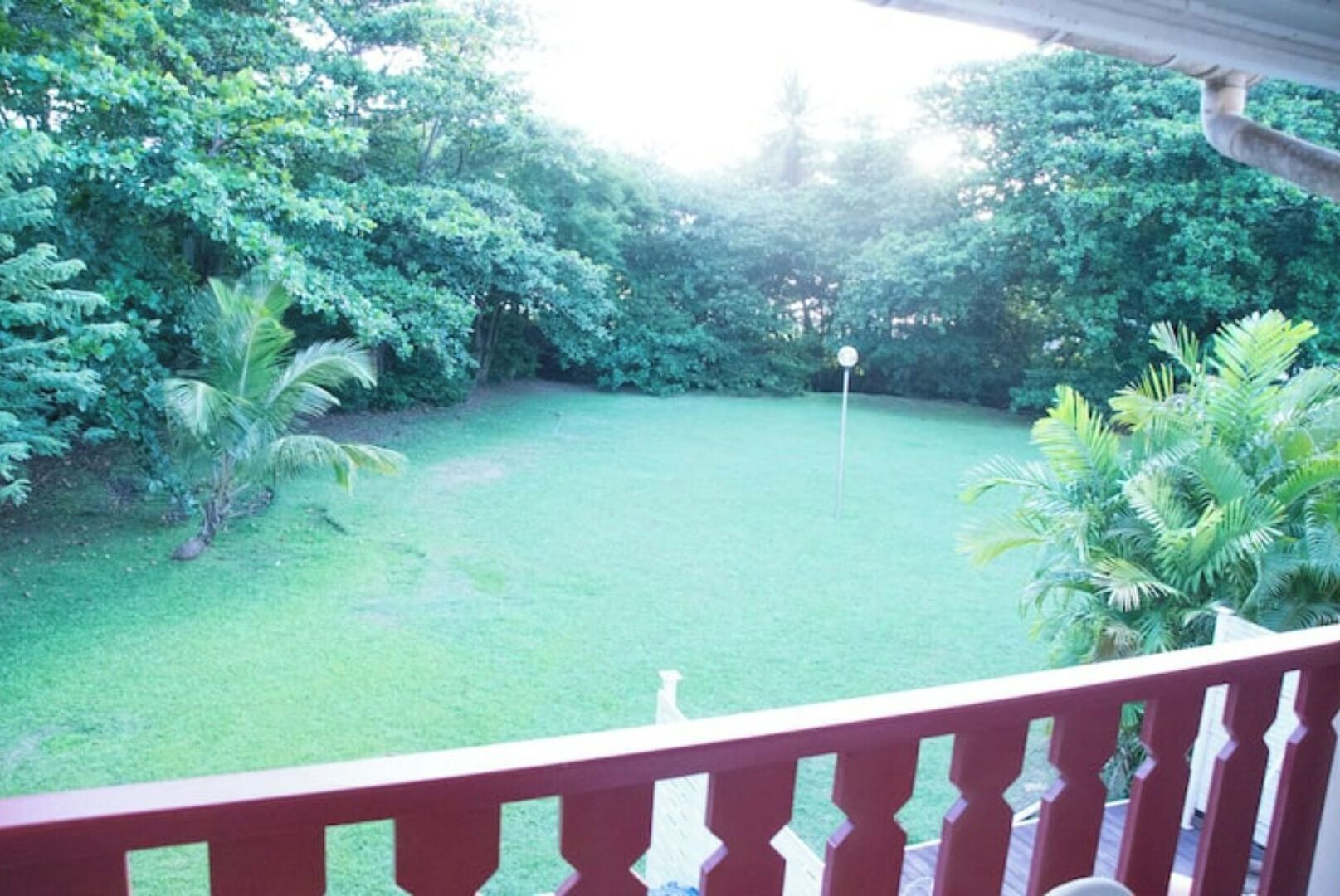 A view of a lush green lawn with a flagpole, surrounded by dense foliage and palm trees, viewed from a balcony with a red railing.
