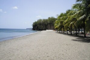 Playa en los alrededores y toallas de playa 