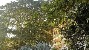 Ein Gebäude mit Balkon, umgeben von üppiger Vegetation und großen Pflanzen.