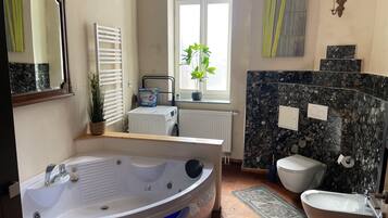 Combined shower/bathtub, jetted bath, hair dryer, bidet