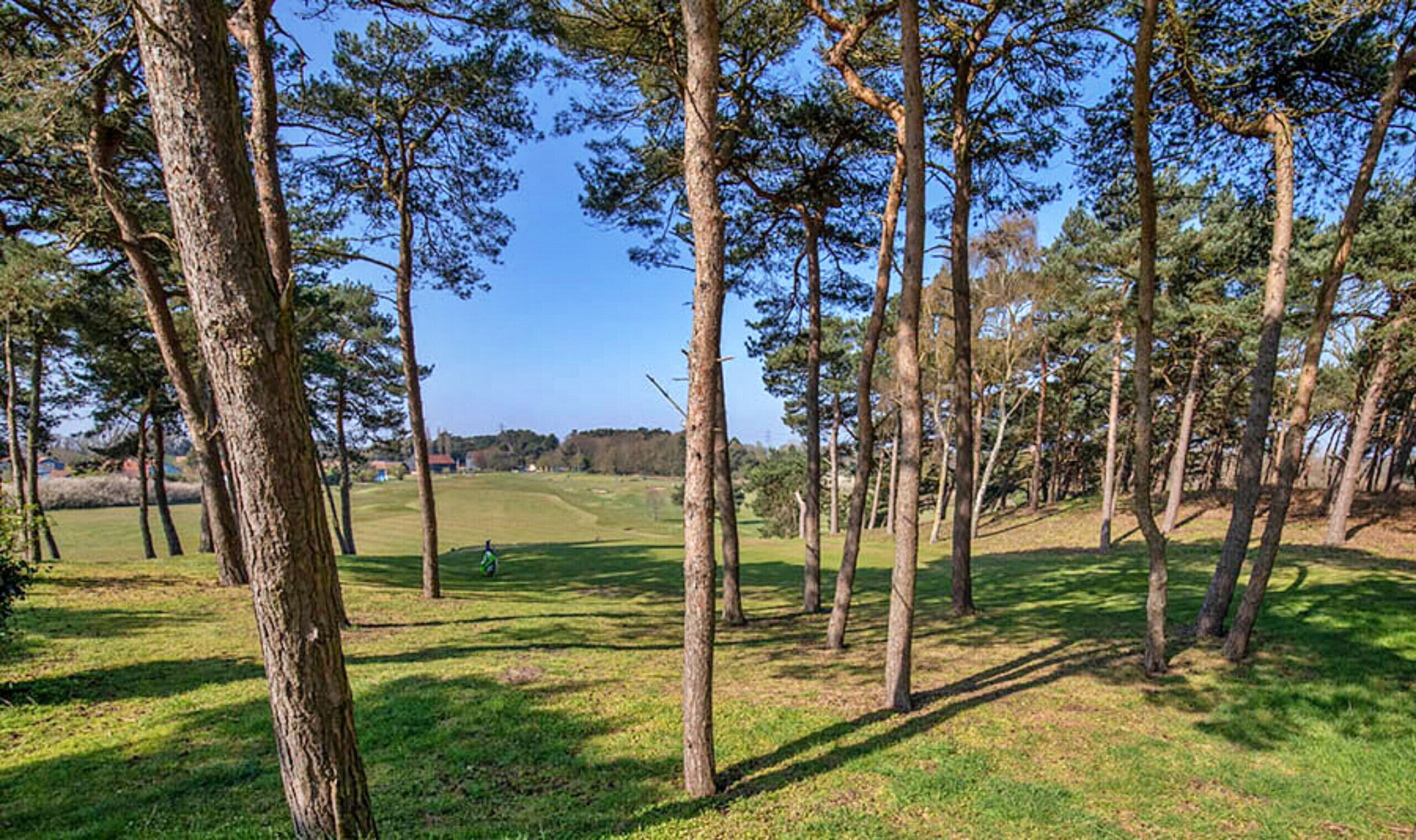 Un parcours de golf bordé de grands arbres et offrant une vue sur un ciel dégagé.