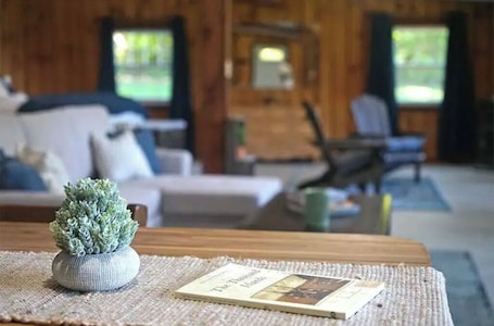 Smart TV, Netflix, books, streaming services. SLR River Retreat: 1000 islands- Winter Specials
