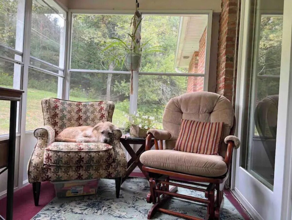 Imagen de perfil del propietario o de la propietaria