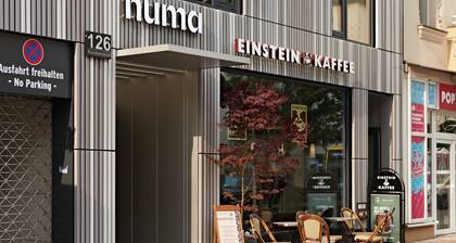 Numa Berlin Savi