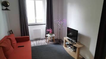 Télévision, lecteur de DVD, livres
