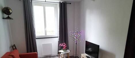 Fernseher, DVD-Player, Bücher