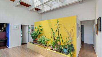 A modern interior with a yellow accent wall, wooden flooring, and a variety of potted plants.