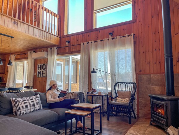 TV, fireplace, DVD player, ping pong