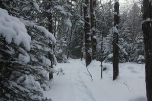 A snowy forest path surrounded by snow-covered trees. - Le Petit Lièvre CITQ 298679 (Chertsey)