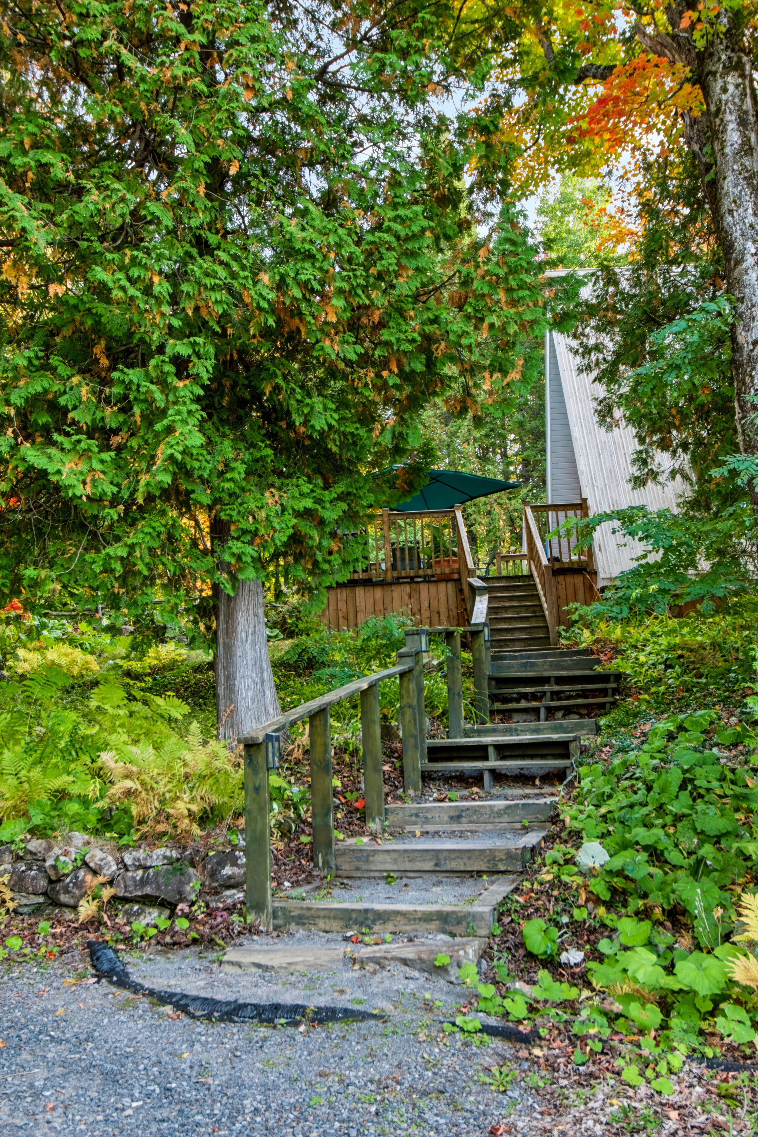 Un escalier en bois mène à une terrasse en bois surmontée d’un parasol vert, le tout étant entouré d’un feuillage dense.
