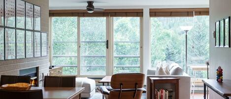 TV connectée, cheminée, livres