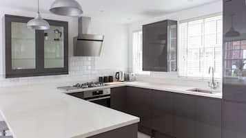 Deluxe Apartment | Private kitchen | Full-size fridge, oven, stovetop, dishwasher
