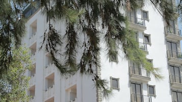 外觀