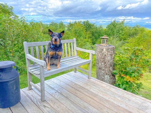 The Cabin Hill at Taplin Hill Farm