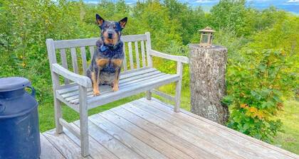 The Cabin Hill at Taplin Hill Farm