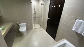 Combined shower/bathtub, bidet