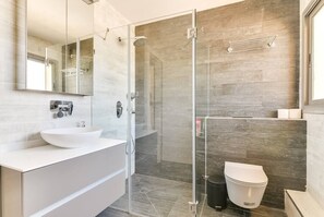 Shower, hair dryer, shampoo