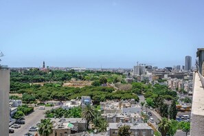 Vista desde la propiedad