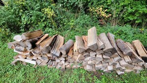 Ein Holzstoß auf einer Rasenfläche, im Hintergrund dichtes Grün.