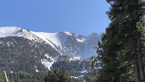 Un paysage de montagne avec des sommets enneigés, une forêt dense et un ciel bleu dégagé.
