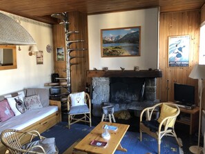 TV, fireplace, DVD player, books