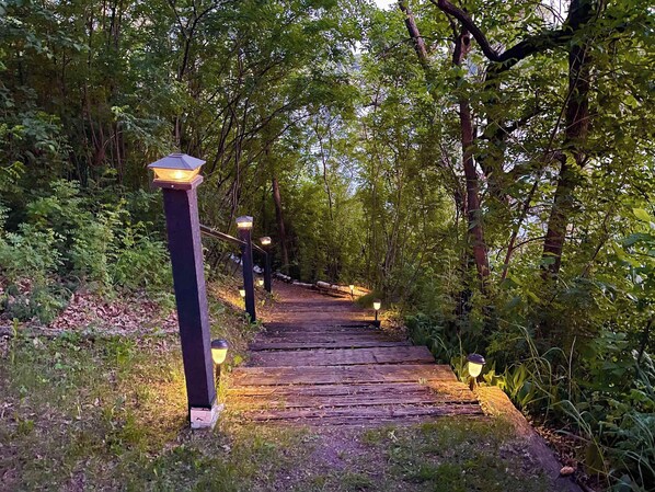 Un sentier en bois bordé d’arbres et éclairé par des lanternes.