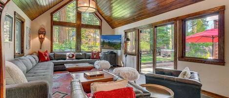 Smart TV, chimenea, videojuegos, libros