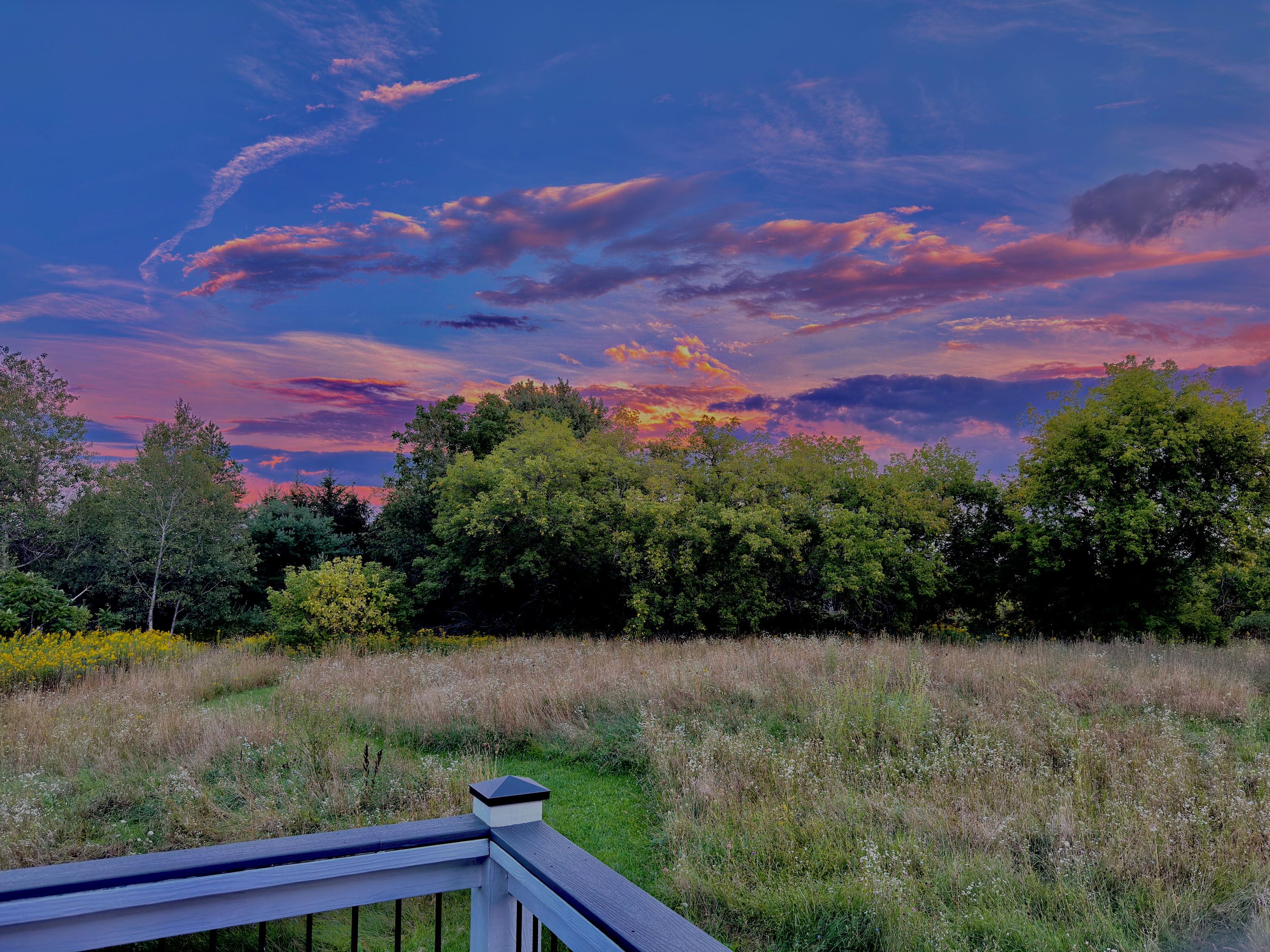 Eine natürliche Landschaft mit einer Holterrasse, dichtem Baumbestand und einem Feld voller Wildblumen.