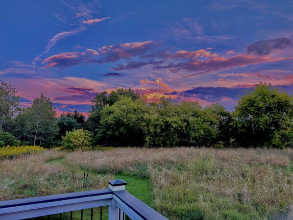 A natural landscape with a wooden deck, dense trees, and a field of wildflowers.