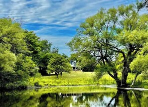 A house surrounded by lush greenery and a pond.