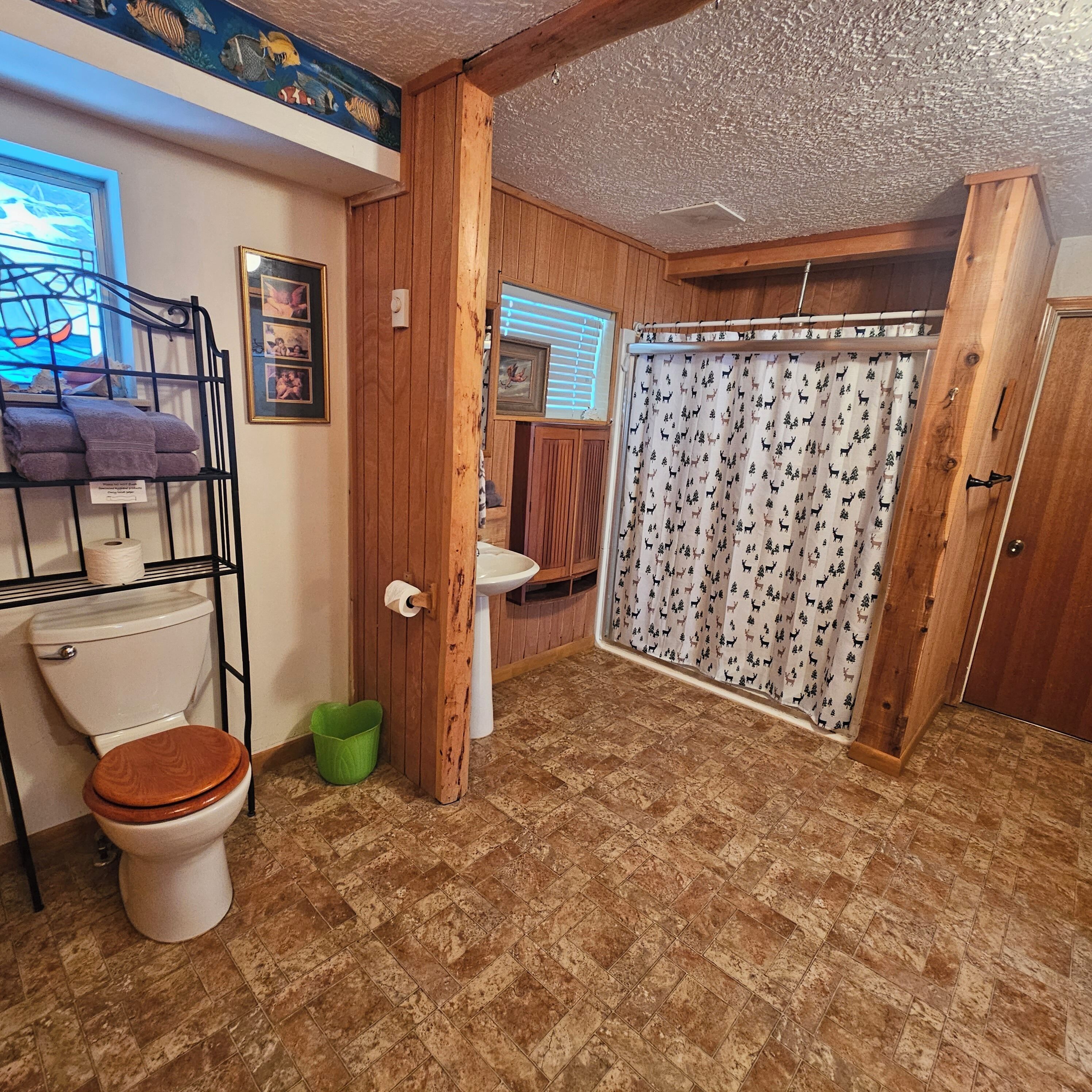 Ducha, secador de pelo, toallas y jabón