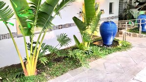 A well-maintained garden with large tropical plants and a blue decorative pot. - HOTEL APPEL (Santa Maria)