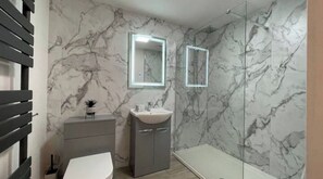 Bathtub, hair dryer, toilet paper