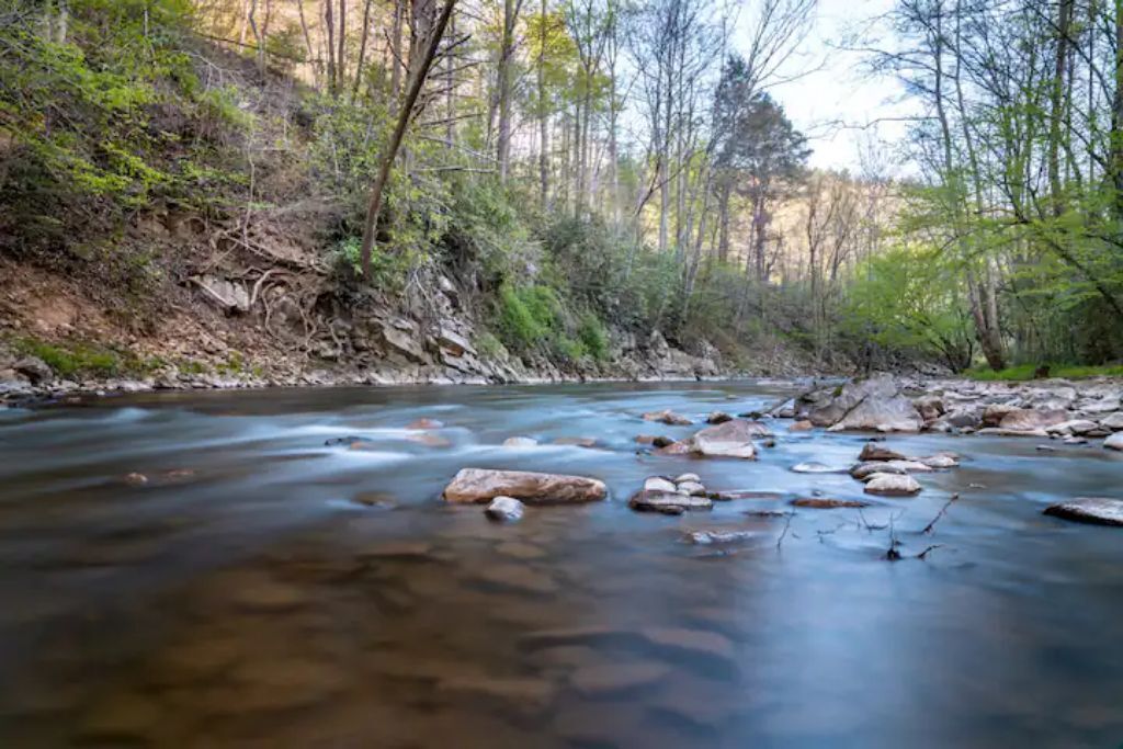 Un río serpentea por una zona boscosa con rocas en su cauce.