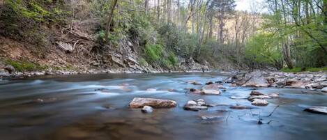 Un río serpentea por una zona boscosa con rocas en su cauce.