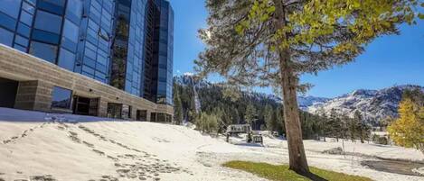 المنطقة المحيطة بالمنشأة