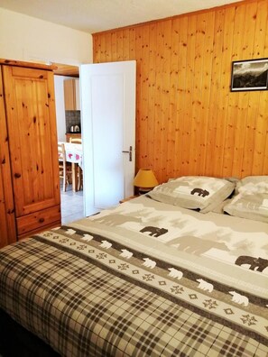 2 bedrooms, WiFi - 100m from ski slopes, 3rd floor, balcony, parking, tv, ski locker, 42m², Les 2 Alpes (Les Deux Alpes)