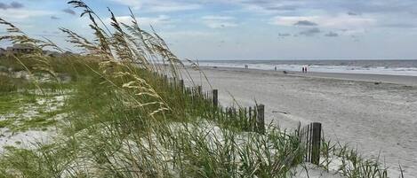 Vlak bij het strand