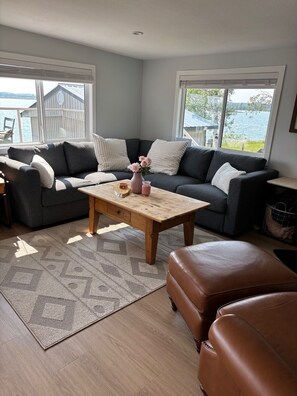 Smart TV, fireplace, books