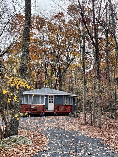 Cozy Cabin in the Woods - close to great hiking spots!