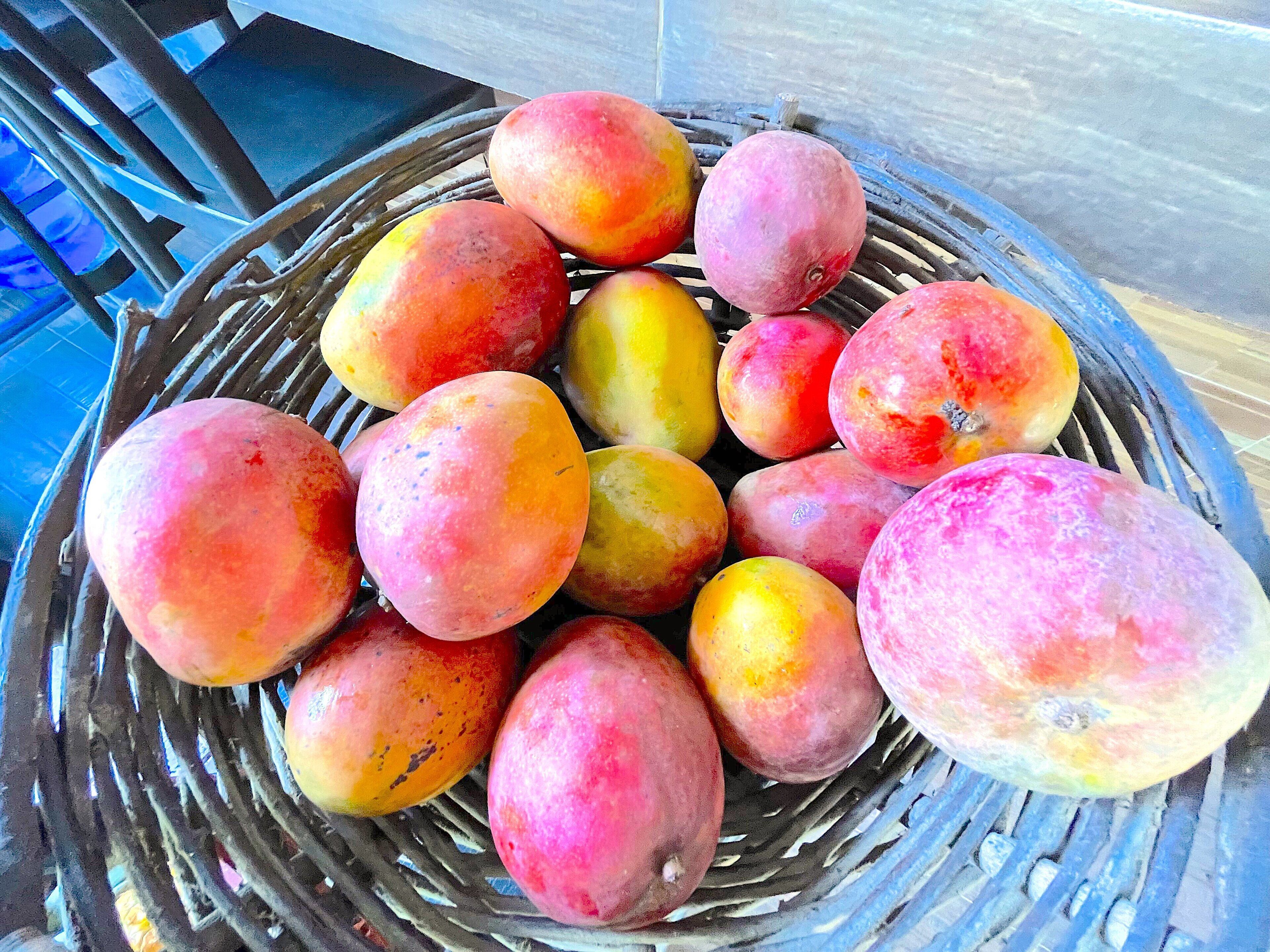 Photo - Caribbean Galaxy hotel BEACH WIFI SPA