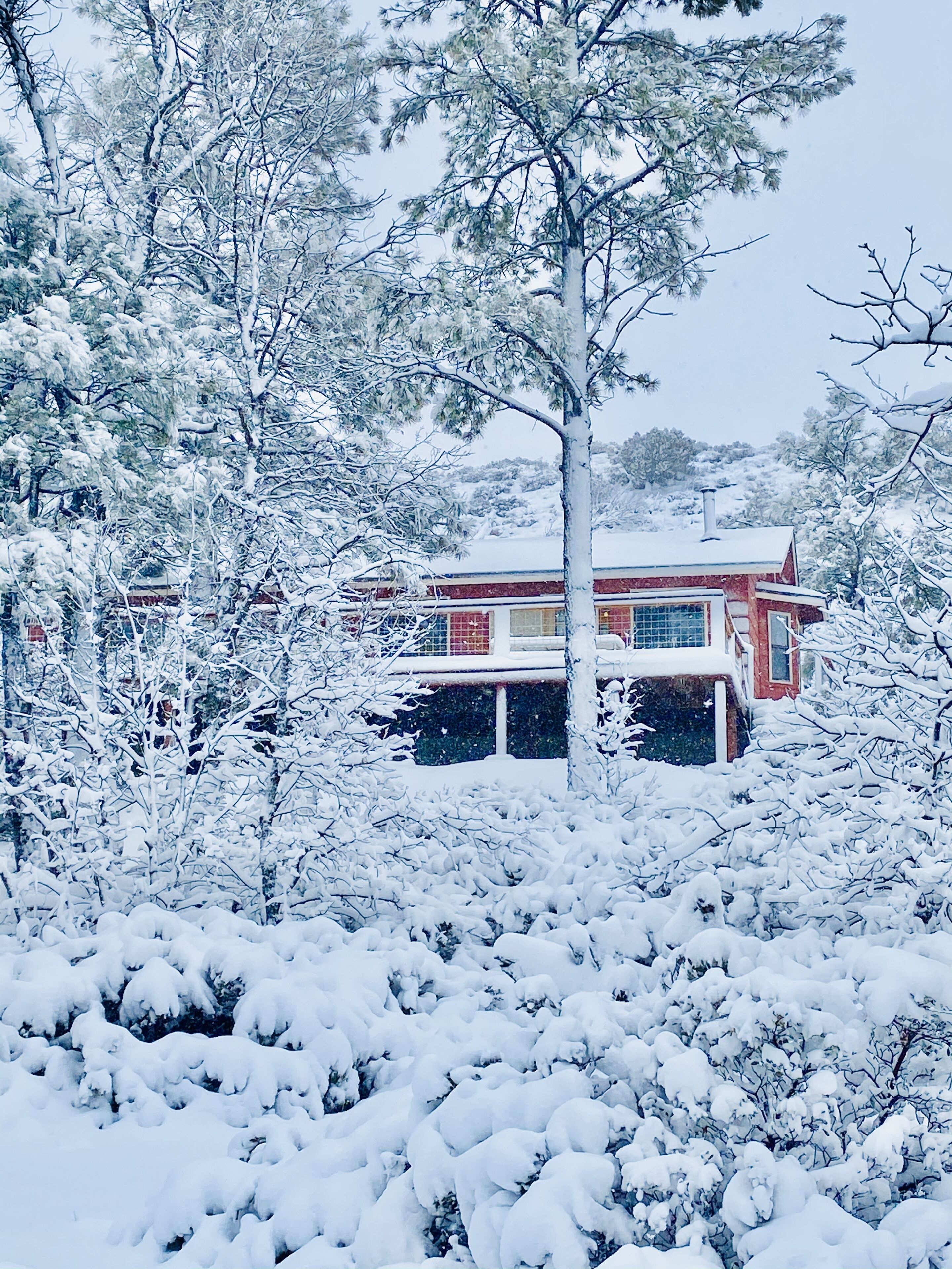 50 minutes from Sunrise! Beautiful Cabin in the woods of Show Low, AZ.